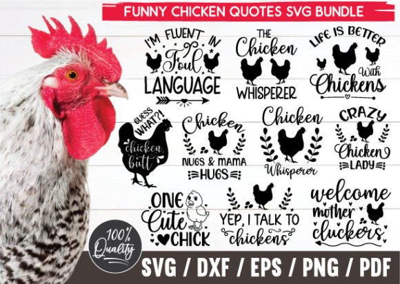 Funny Chicken Quotes SVG Bundle: A Designer's Eye Test